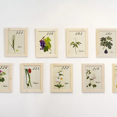 Rimon Szálloda Velence