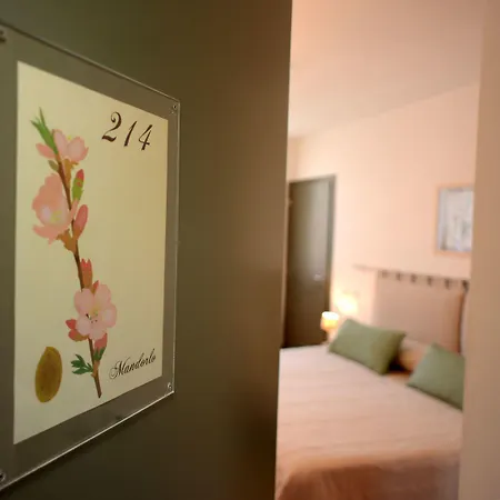 Rimon Hotel